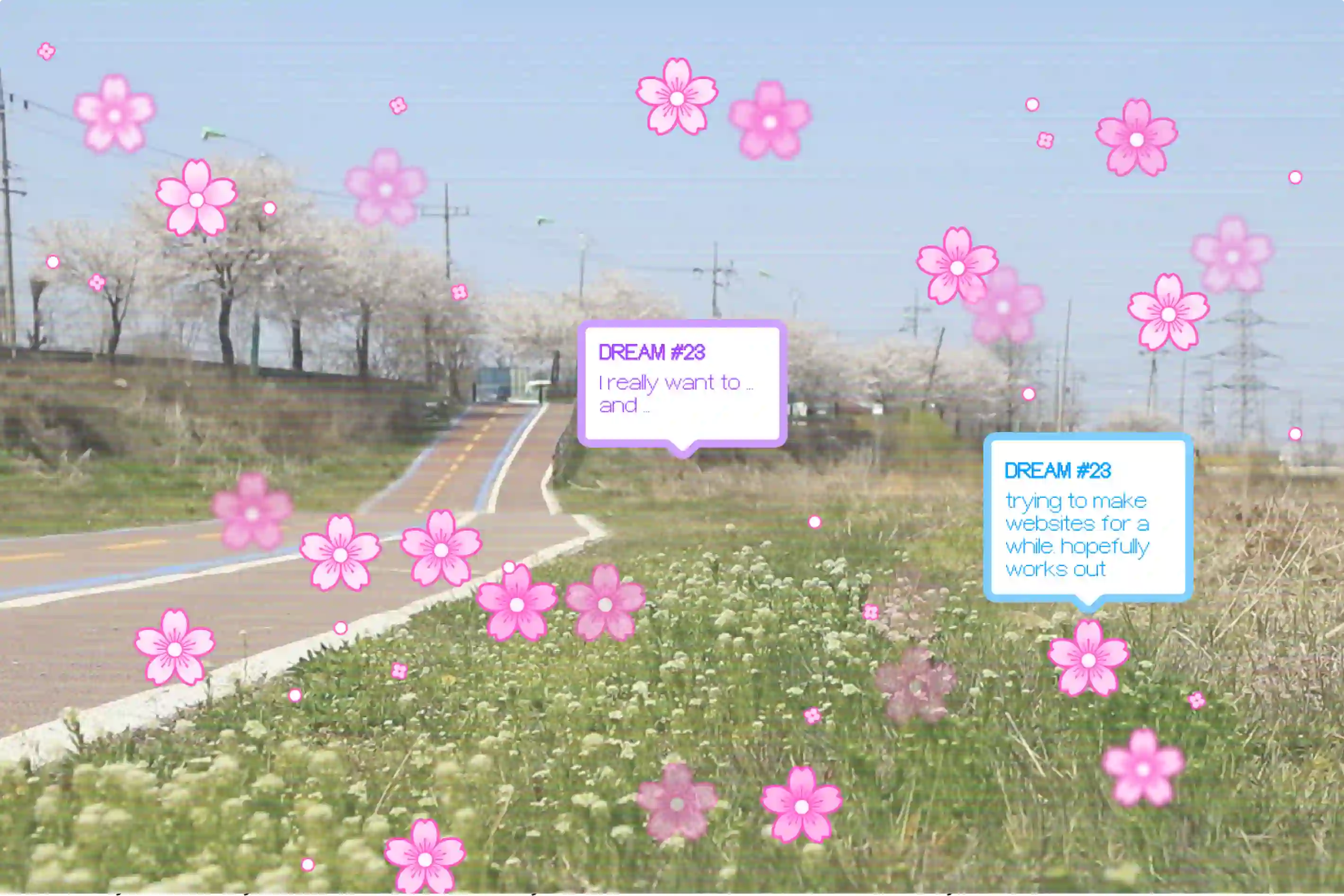 DREAMS project